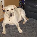 michael gallogly - @miketezaj - Twitter