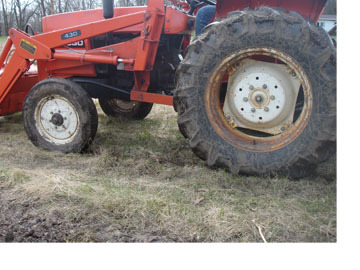 ghettogardener's profile picture. Minneapolis permaculturist, cancer survivor, all around wonder woman.