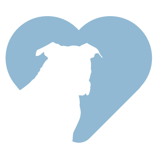 AnimalHealthFoo's profile picture. Animal Health Food make nutritional supplements that give animals a better, healthier more comfortable life