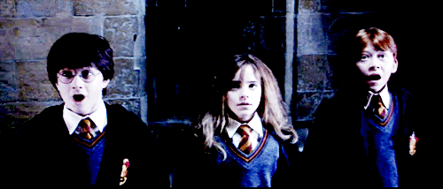 Sou um anjinho [s]diabinho[s/] ,  sempre tiro 10 nos N.I.E.M.S ... MAIS SE APONTAR ESSA VARINHA PRA MIM TE MOSTRO COMO É O MEU expelliarmus
