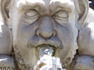 Apivecka's profile picture. 