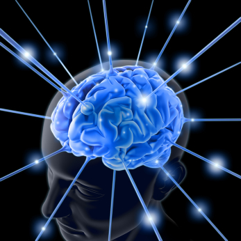NeurodesignInc's profile picture. The Science of Good Customer Experience. 

Providing CX/UX strategy based neural triggers that determine the positive or negative experience for a person.