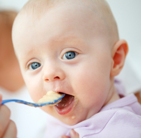 startbabysolids's profile picture. Your baby's start to solid food! Better baby nutrition from the first bite. Tweets by @babysleepsite