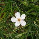 Dena Walker - @denawalker - Twitter