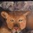 Kerri4ts's profile image