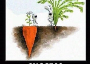 SalahEMustafa's profile picture. 