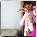 Amy Askew-Payler - @Sandwich_Lover - Twitter