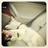 RoYoBoatToday's profile image