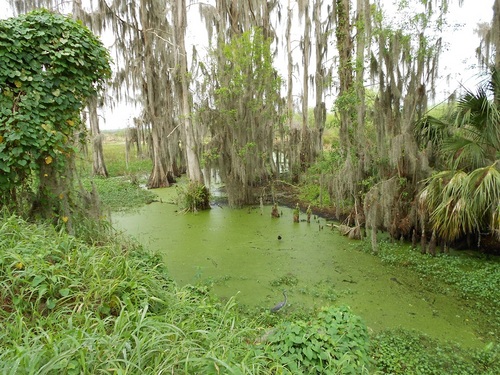 LauraElliott3's profile picture. USAF Veteran, FL