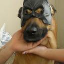 Sarah Zack - @Cozylilswthart - Twitter