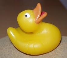 papitsa_emilia's profile picture. Η παπίτσα, της γνωστής οικογενείας των Anatidae.
Το παπύ twitter