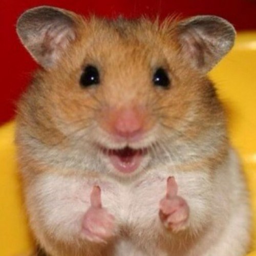 KArgiropolis's profile picture. Technology geek. Collaborator & determined dreamer.  eReader addict. Mom. Coffee ninja. Bacon evangelist.