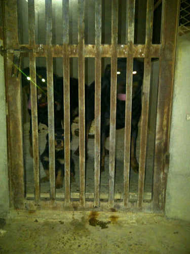 ibraheemalbader's profile picture. 