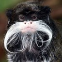 Levi Sampson - @Levisampso - Twitter