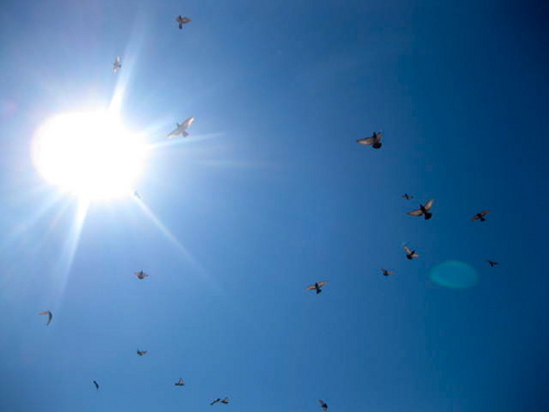 theinvisibleuk's profile picture. 