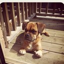 Brent Stephen - @brent_stephen - Twitter