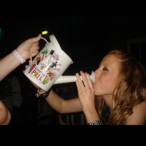 LisaAllan85's profile picture. 