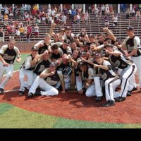Panthers Baseball (@pvibaseball) 's Twitter Profile