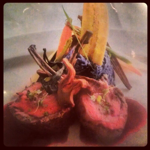 ShoreChef's profile picture. The Original Jersey Shore Chef with appreciation of local foods and a flair for fun