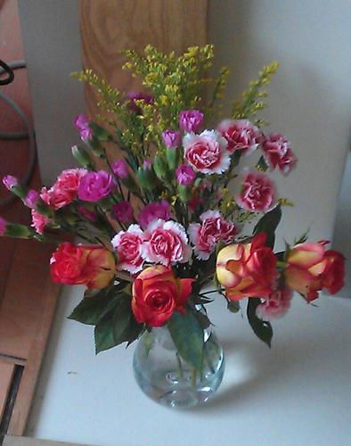 jannister's profile picture. 