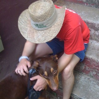 WilliamMeffert's profile picture. I am like no one you have ever met before, in the best possible way.