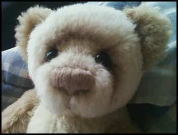 I am a bear smith for Wicked Bear Fibers, I am a knitter, go to school for Veterinary Technology.