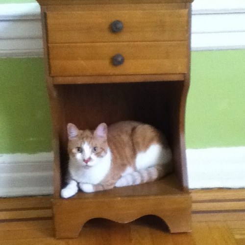 Herbie115's profile picture. fgtrrrrrrrrrrrrrrrrrrrrrrrrrrrrrrrrrrrrr