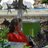 maria_gallas's profile image