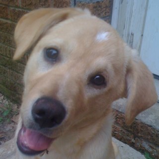 kristikelley7's profile picture. 