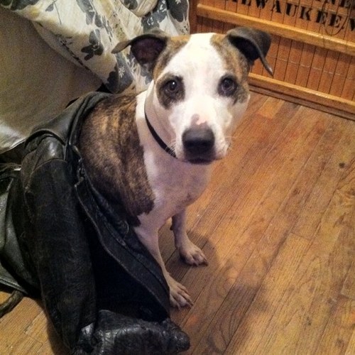 _M_pano's profile picture. FULL TIME DEGEN