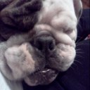 Tara Griffiths - @TaraGriffiths8 - Twitter