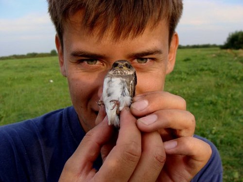 vad_jun's profile picture. Feelin' blue