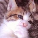 なつ (@0815Nt) Twitter