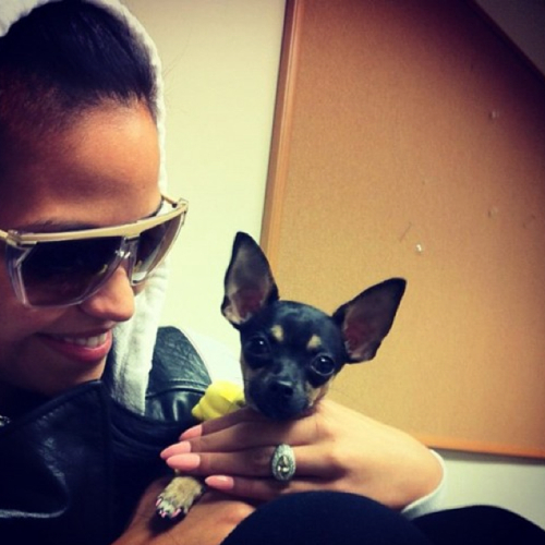 SekaOutLoud's profile picture. If there's pondu I'm there.              me loves some of cassie:* http://t.co/HLGA5o4Iuv