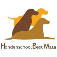 Heb een hondenschool waar ik trainingen geef aan mens en hond. Zelf bezit ik 2 Duitse Herders, 2 King Shepherds en 3 Oud Duitse Herders.