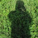 Henry Larson - @abroadhenry - Twitter