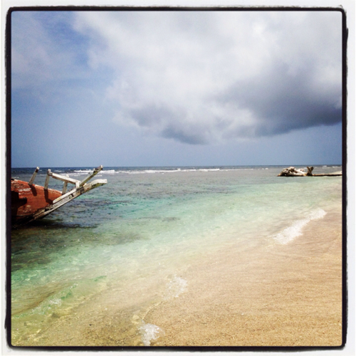 fcbjorge's profile picture. Manager, coach, de...... fantasy hasta de dominó....y solo aveces politico frustrado o mas bien frustrado ante la politca..