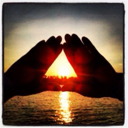 jaheijin's profile picture. 流した汗は嘘をつかない 自由肉党。 思ったことを口にします。