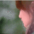 twitter profile