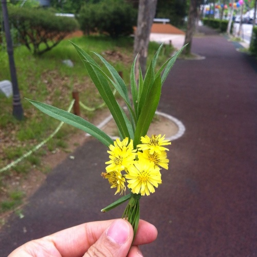 azzyy2000's profile picture. 대한민국이 걱정됨...