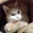robin_marius's profile image