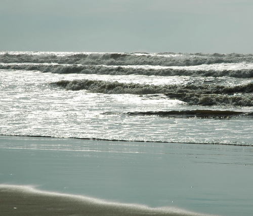 Consulting en strategische ontwikkeling van mariene projecten gericht op het behoud en duurzaam gebruik van de oceanen en alles wat daarin leeft.