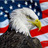 AdamEnnis11's profile image