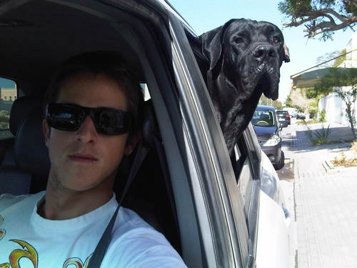 slumdxb's profile picture. Brasilian, English and Dubaian in one!