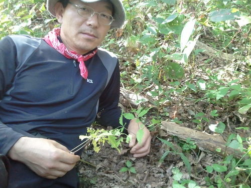 주중에 열심히... 주말엔 산으로 고고씽~~~