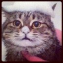 Danielle Guerra - @helloimdani - Twitter