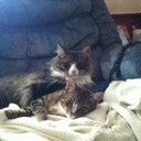 jack fish - @zombiefish87 - Twitter