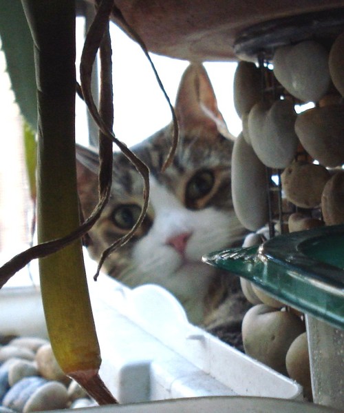 RBMedoff's profile picture. Working on it