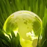 Sea_eco's profile picture. I have always wanted to be my own boss. After doing a lot of  research, i found this eco friendly business which i think everyone should go for.