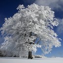 george roque - @budfather63 - Twitter